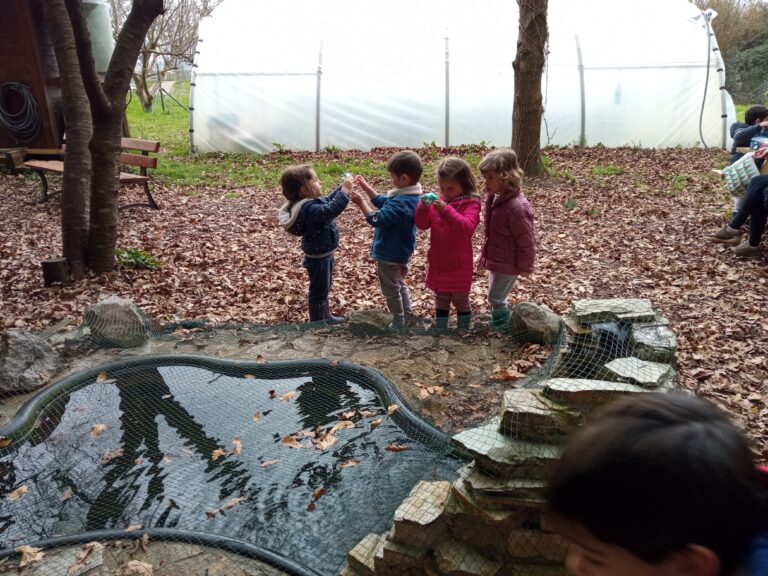 Infantil 3 años en Primaria