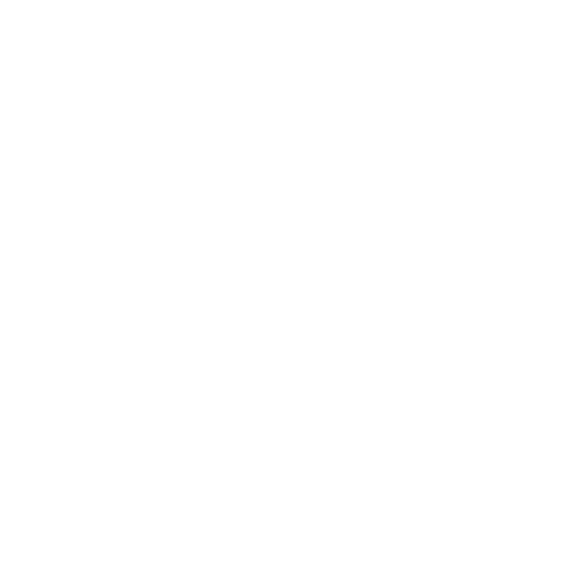 LOGO BLANCO SUSTITUTO BAJA