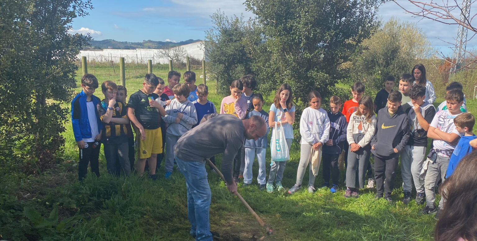 PLANTACIÓN ÁRBOLES SEMANA MEDIO AMBIENTE