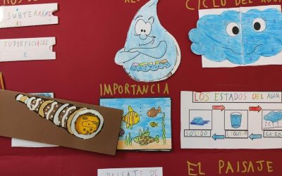 PROYECTO 2º PRIMARIA LA VIDA PIRATA