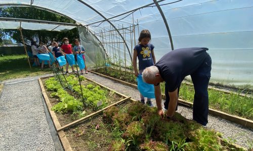 HUERTO instalaciones